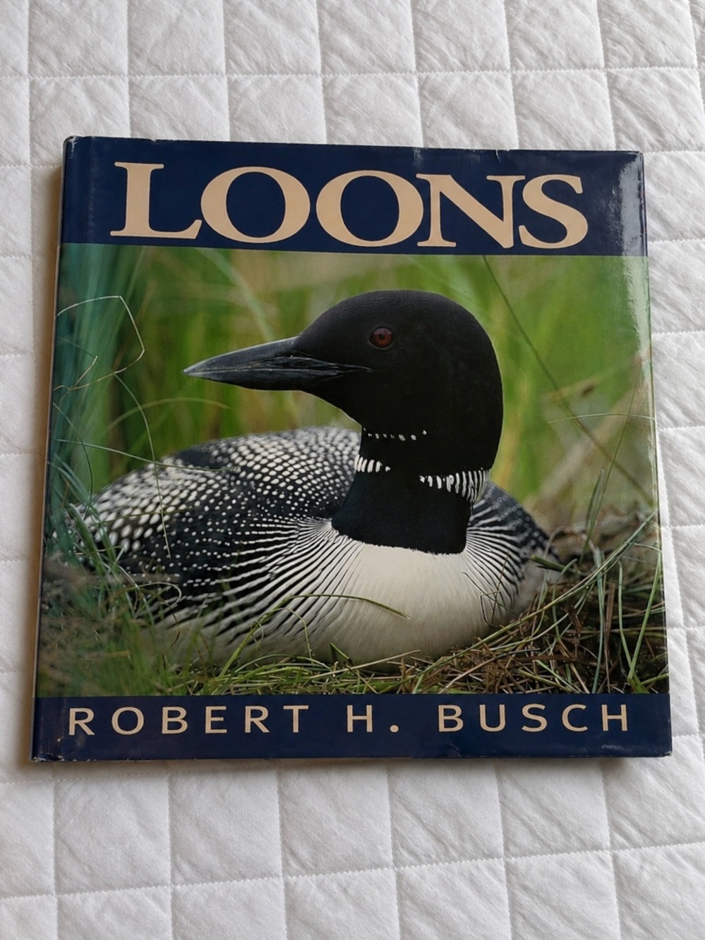 Loons by Robert H. Busch Hardcover Nature Photography Book EUC​